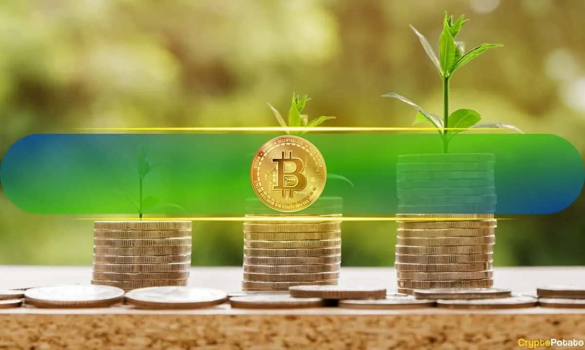 Bitcoin Profitability Nears 2022 Lows as BTC Price Slumps Below $82K: Analyst
