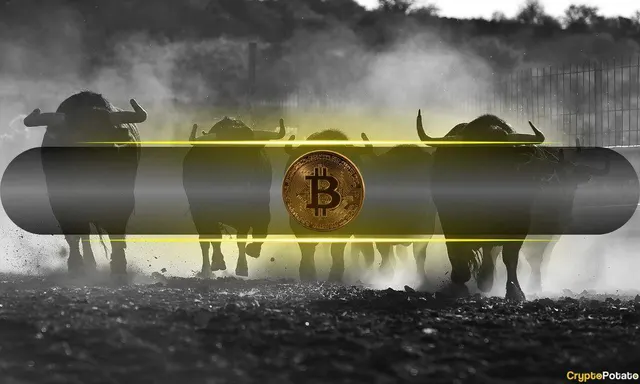 Bitcoin Analysts Are More Bullish Now Than at the Start of the 2023 Bull Market: CryptoQuant