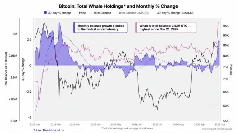 Cryptoquant Says Bitcoin Whales Are Back as a Mystery Buyer Grabs $97M