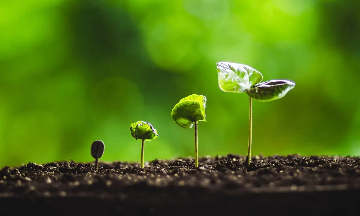 Crypto Ends Three-Quarter Losing Streak With 39% Q3 Gain: Report