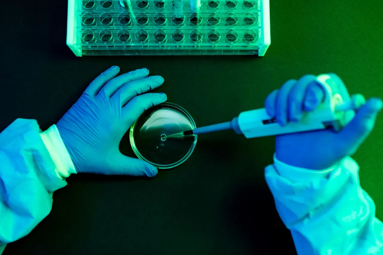 What to Know About Shamonda Virus Following the First Reported Human Infection