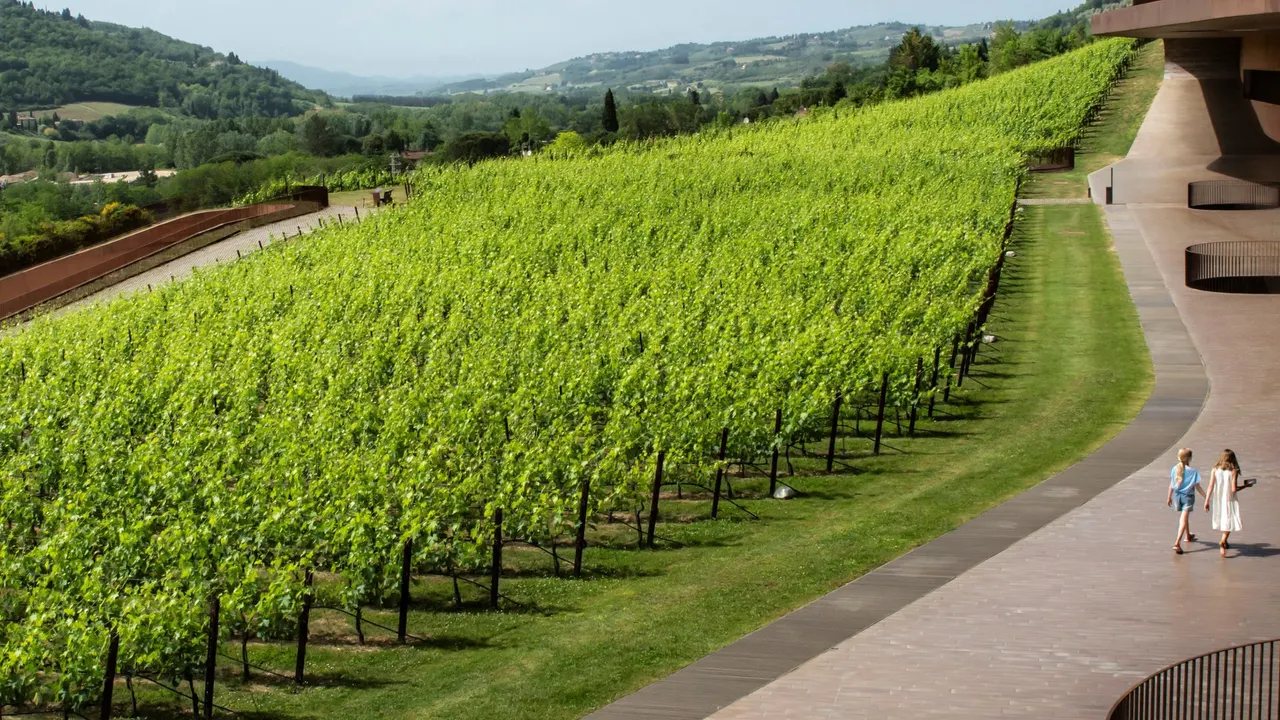 A gang of masked men stole £4.2m worth of red wine from Italy