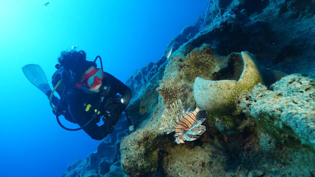World's oldest shipwreck found off Turkish coast