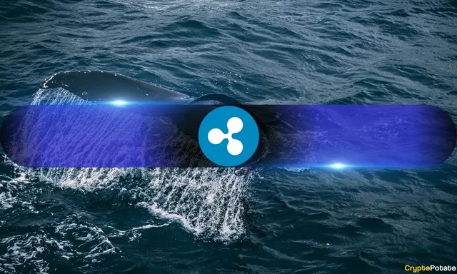 XRP Whales Pull Back? Small Binance Transfers Hit Highest Share Since October 2024