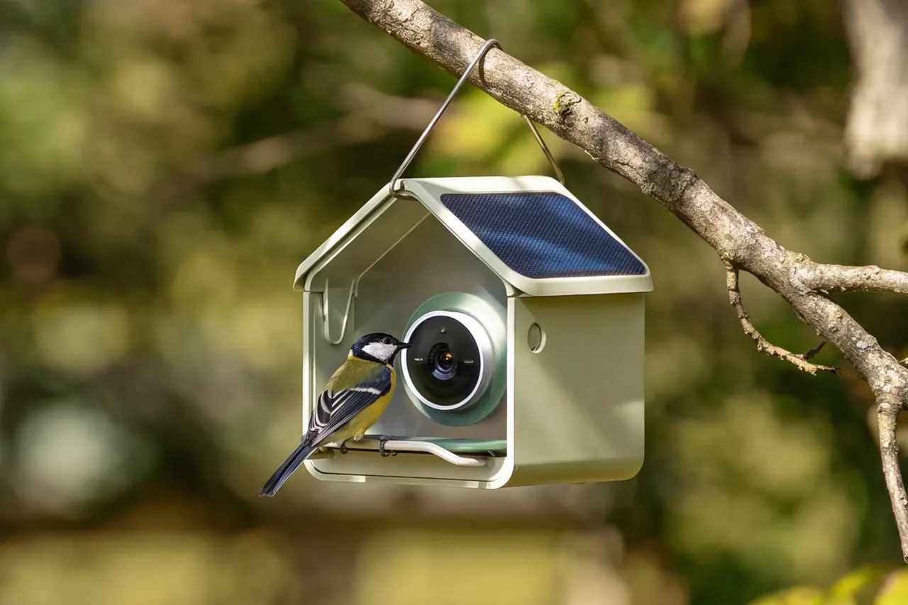 Birdbuddy’s Nook is a compact smart bird feeder for small spaces and budgets