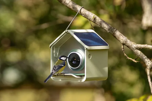 Birdbuddy’s Nook is a compact smart bird feeder for small spaces and budgets