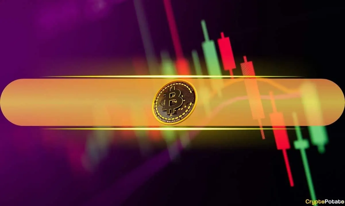 QNT and NIGHT Continue to Defy Market Correction, BTC Settles After Wild Ride: Weekend Watch